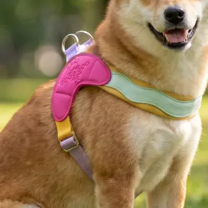 Pettorina a gilet morbida, colorata, anti-tiro a forma di Y per cani