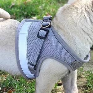 Set con pettorina a gilet traspirante in mesh anti-tiro per cani e guinzaglio