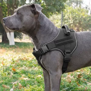 Pettorina tattica traspirante per addestramento cani
