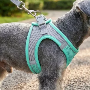 Set pettorina a gilet e guinzaglio per cani in nylon traspirante anti-tiro