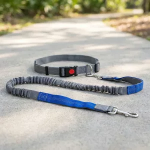 Guinzaglio riflettente in nylon per cani a mani libere con cintura in vita