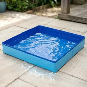Piscina pieghevole per cani