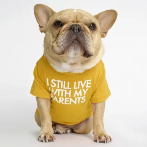 T-shirt divertente in cotone traspirante per cani