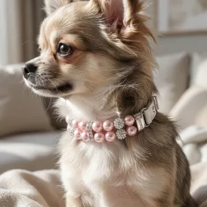 pearl dog collar