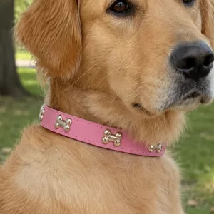 Collare per cane resistente con grazioso osso