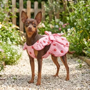 Adorabile vestitino estivo traspirante con fragole per cani