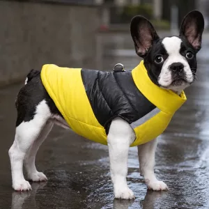 Elegante giacca impermeabile in cotone per cani, gilet senza maniche con anello a D