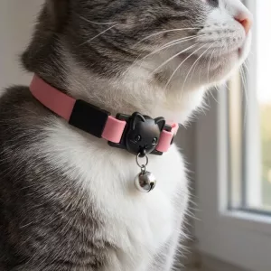 Collare carino per gatti con campanellino