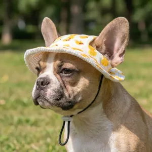Cappello da sole traspirante carino per cani con cordino
