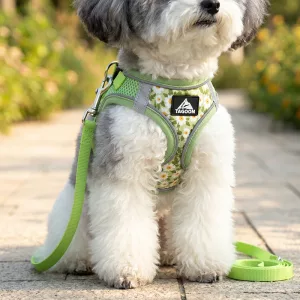 Set pettorina a gilet e guinzaglio in nylon con rete morbida e traspirante anti-tiro per cani