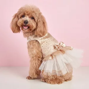Vestito da principessa elegante per cane con gonna in tulle