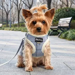 Set pettorina gilet invernale calda anti-tiro con guinzaglio per cani