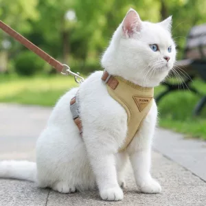 Set di pettorina imbottita traspirante e guinzaglio per gatti
