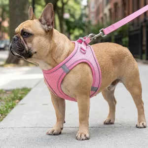 Set pettorina antitiro in rete riflettente per cani con guinzaglio