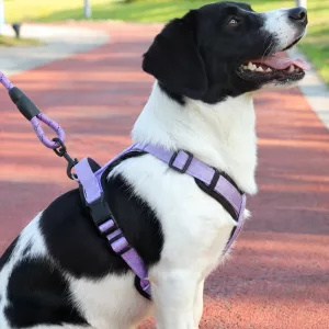 Set pettorina riflettente anti-tiro per cani con guinzaglio