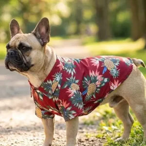 Graziosa camicia estiva hawaiana in chiffon per cani