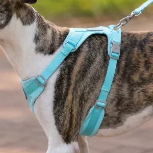 Pettorina traspirante anti-tiro per cani