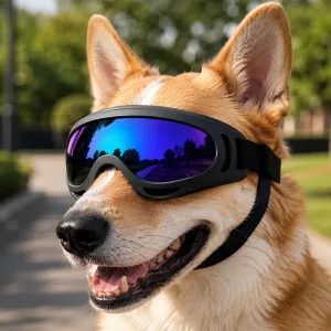 Eleganti occhiali da sole protettivi UV per cani con cinturini regolabili