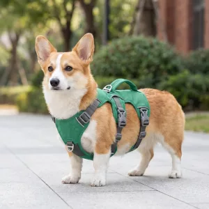 Pettorina gilet riflettente in nylon anti-tiro per cani