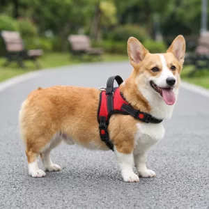 Pettorina a gilet traspirante anti-tiro per cani