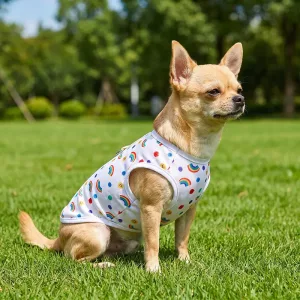 T-shirt estiva rinfrescante e traspirante per cani