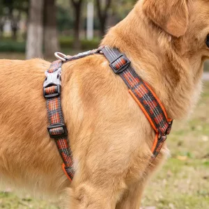 Pettorina riflettente morbida anti-tiro per cani