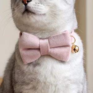 Grazioso collare morbido con fiocco e campanellino per gatti