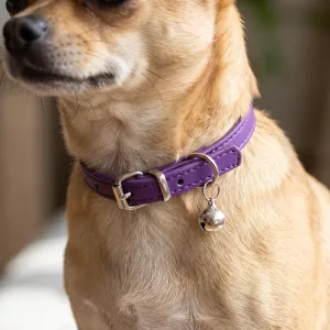 Collare regolabile per cani con campanellino