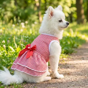Grazioso vestitino estivo con fiocco per cani