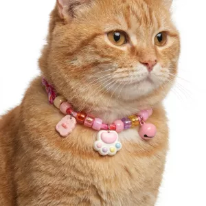 Collare collana per gatti carino e colorato con ciondoli