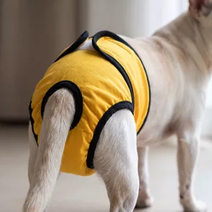 Pannolini lavabili riutilizzabili altamente assorbenti per cani