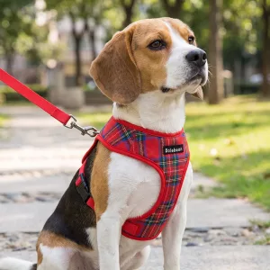 Set pettorina gilet scozzese anti-tiro per cani e guinzaglio