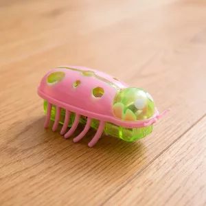 Divertente giocattolo elettrico a forma di insetto interattivo con erba gatta per gatti