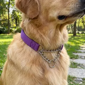 Collare per cani in nylon riflettente con catena in acciaio inox